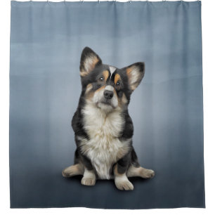 Cortina Para Box Desenho Cão Galês Corgi preto