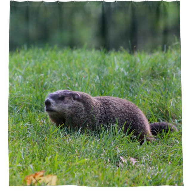 Cortina Para Box Devils Hole Digger (Frente)