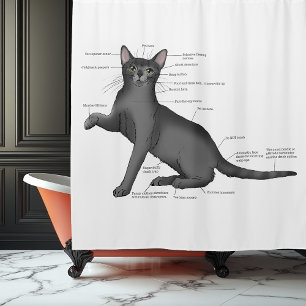 Cortina Para Box Diagrama de Anatomia de Gato Engraçado Humor Nerd