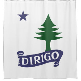 Cortina Para Box Dirigo / 1901 Flag