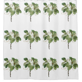 Cortina Para Box Doenças do