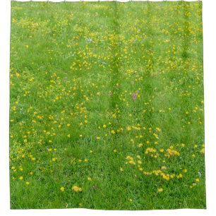 Cortina Para Box Dolomites selvagens Alps Meadow Summer