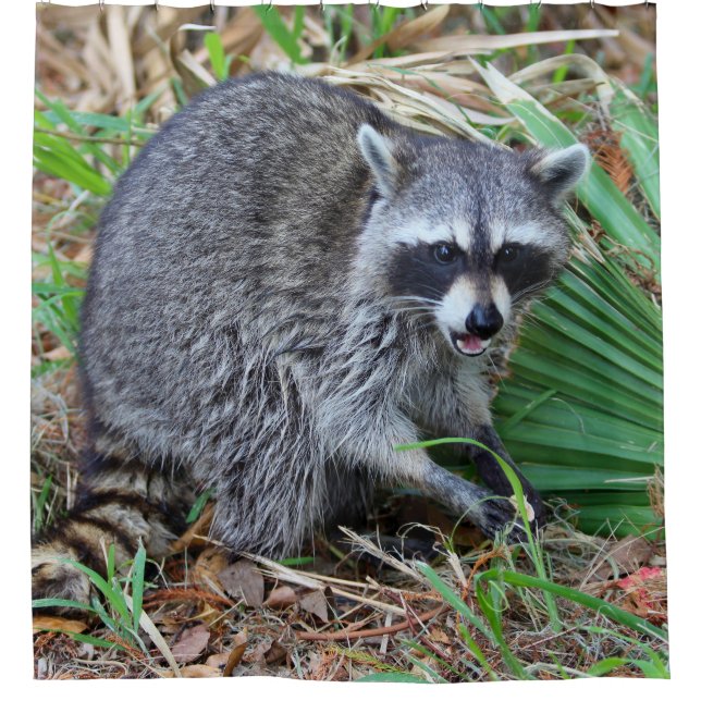 Cortina Para Box Don't Mind Me, Just Passing Through (Frente)