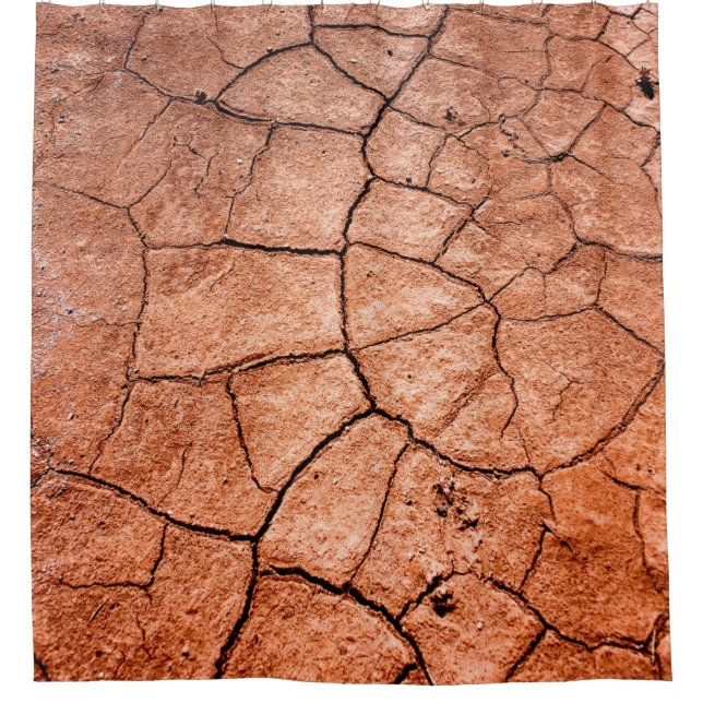 Cortina Para Box Dried land (Frente)