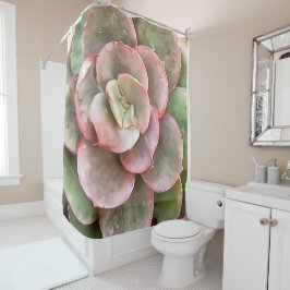 Cortina Para Box Echeveria Cactus - Pintura acrílica suculenta