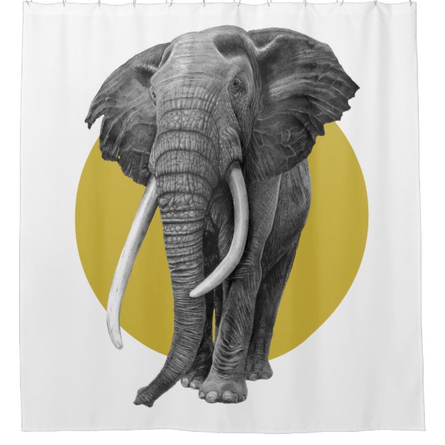 Cortina Para Box Elefante-touro - Desenho a lápis sobre ouro (Frente)