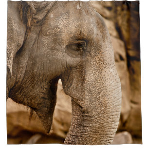 CORTINA PARA BOX ELEPHANT