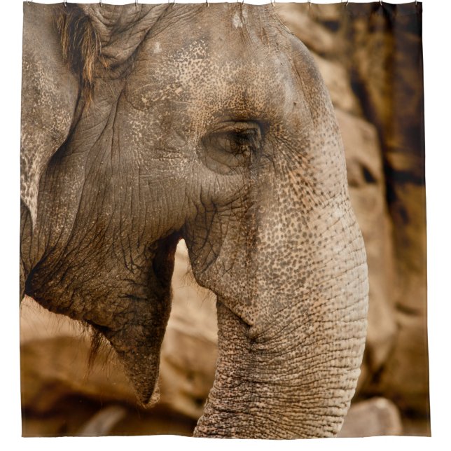 CORTINA PARA BOX ELEPHANT (Frente)