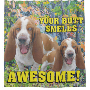 Cortina Para Box Engraçado seu bumbum cheira Basset Hound