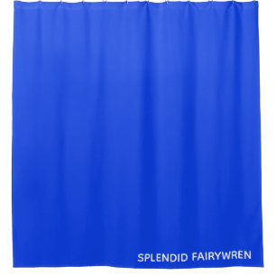 Cortina Para Box Esplêndido Nome de Cor Azul Fairywren