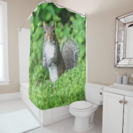 Cortina Para Box Esquilo