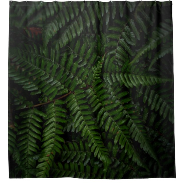Cortina Para Box Fábrica de Fern (Frente)