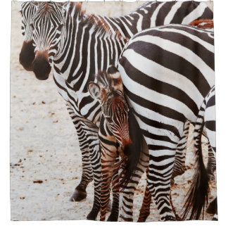 CORTINA PARA BOX FAMÍLIA ZEBRA