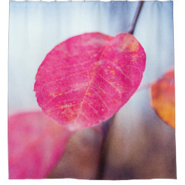 Cortina Para Box Fascinando as Folhas de Cotonou