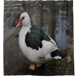 Cortina Para Box Figgy