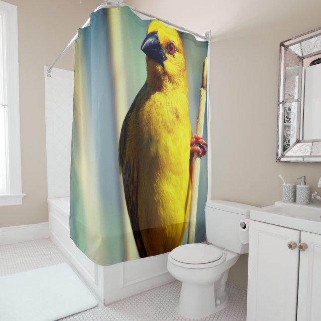 Cortina Para Box Finch Amarelo (In Situ)