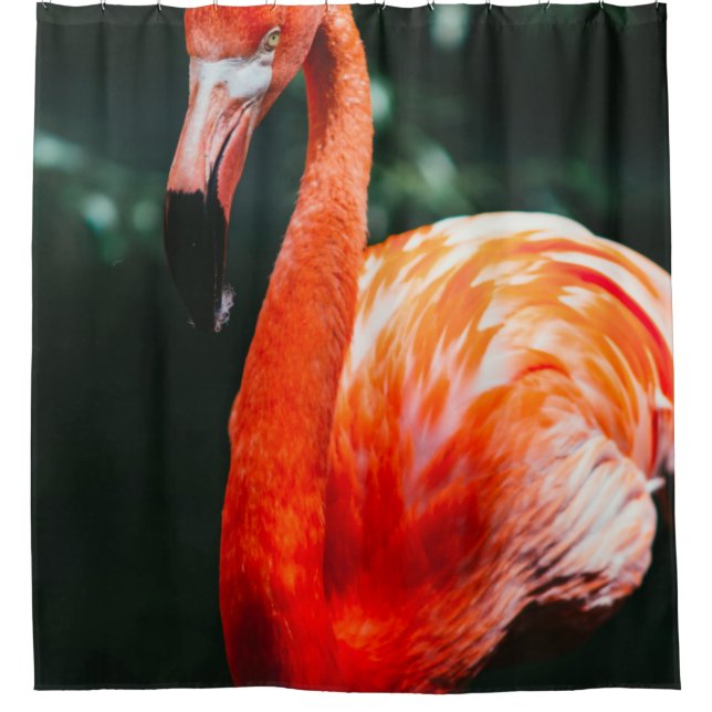 CORTINA PARA BOX FLAMINGO (Frente)