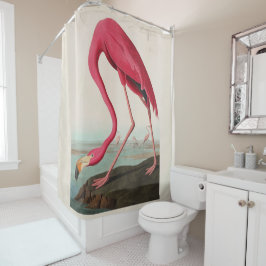 Cortina Para Box Flamingo Americano Rosa Audubon, Placa CCCCXXXI
