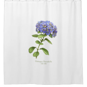Cortina Para Box Flor azul do Hydrangea