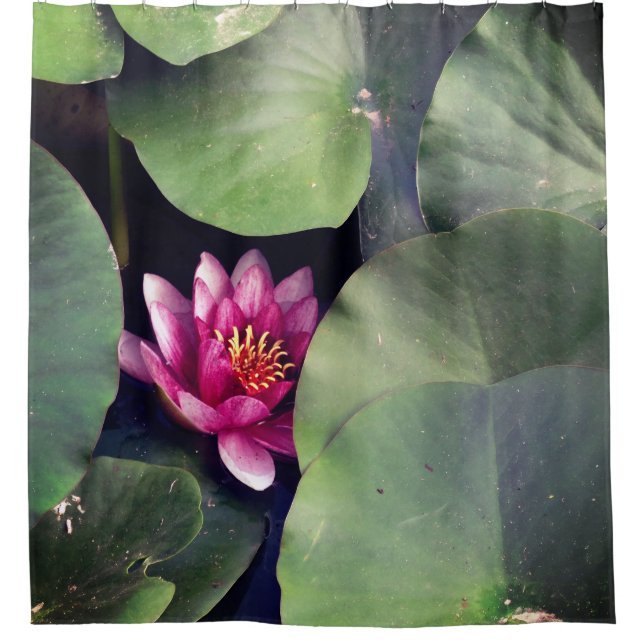 Cortina Para Box Flor de Lotus Rosa (Frente)