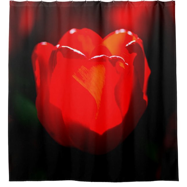 Cortina Para Box Flor de Tulipas Vermelhas - Fogo (Frente)