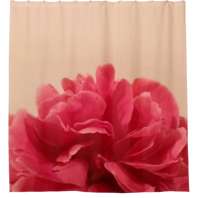Cortina Para Box Floral de Creme Rosa Bonito (Frente)