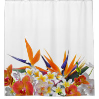 Flores Alegria-Tropicais de florescência