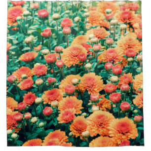 Cortina Para Box Flores florescentes num outono de jardinagem, fund