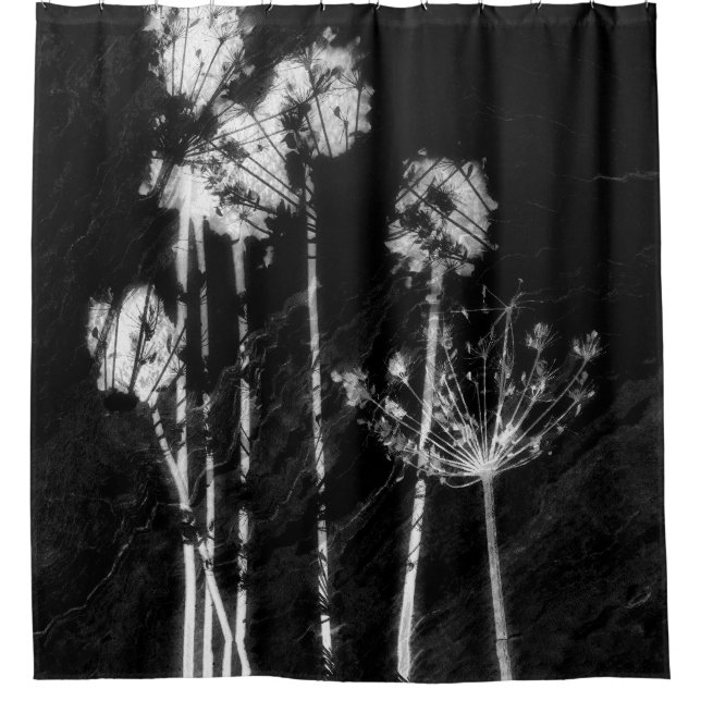 Cortina Para Box Flores Silvestres Secas Gráficas em Monocromia de  (Frente)