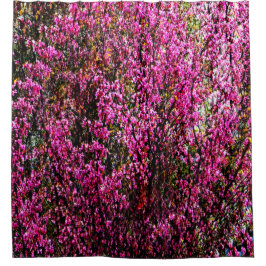 Cortina Para Box Flores vermelhas........