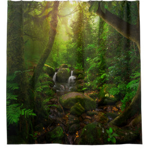 Cortina Para Box floresta tropical asiática,terra,amazão,ásia