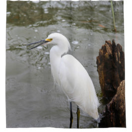 Cortina Para Box Florida's Singing Egret