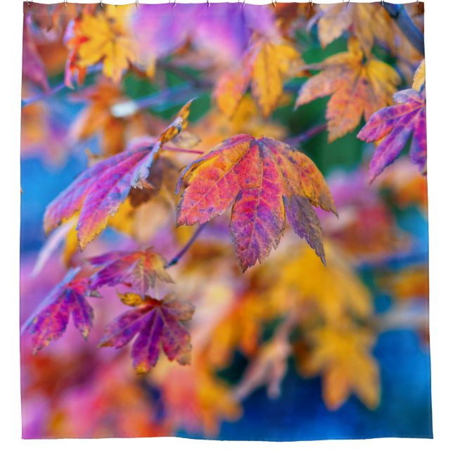 Cortina Para Box Folhas Elegante de Maple Japonês (Frente)