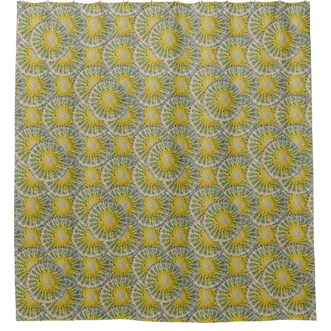 Cortina Para Box Foto botânica tropical da planta do cacto (Frente)