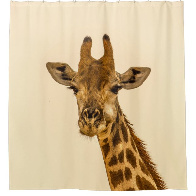 CORTINA PARA BOX FOTOGRAFIA DE FOCO SELETIVO DE GIRAFFE (Frente)