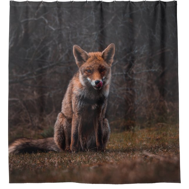 CORTINA PARA BOX FOX NO CAMPO DE GRAU (Frente)
