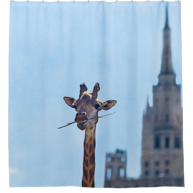 Cortina Para Box Funny Giraffe (Frente)