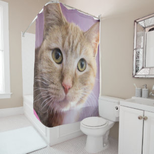 Cortina Para Box Gato