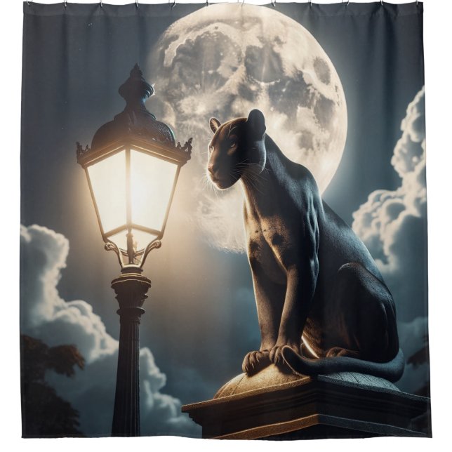 Cortina Para Box Gato Negro (Frente)