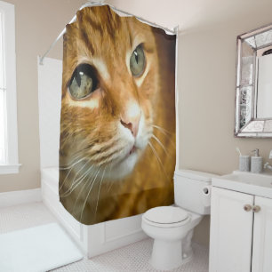 Cortina Para Box Ginger Tabby Cat Posicionando Retrato