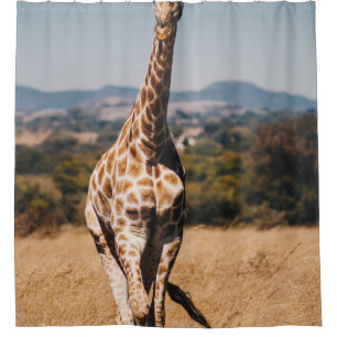 CORTINA PARA BOX GIRAFFE RODADA POR GRAMA MARCADA