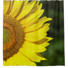 Cortina Para Box Girassol