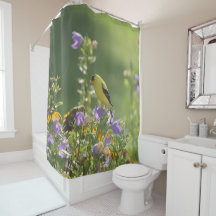 Goldfinch em uma Flor Harebell