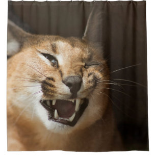 Cortina Para Box Goofy Lynx