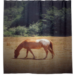 Cortina Para Box Grazing Palomino....