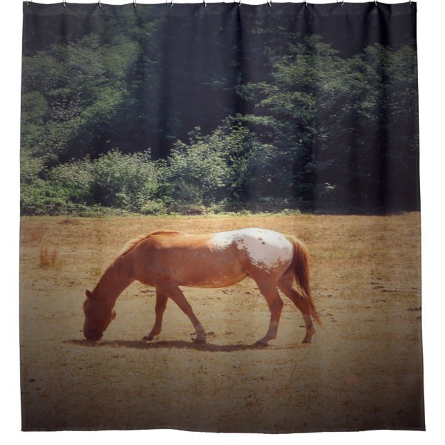 Cortina Para Box Grazing Palomino.... (Frente)