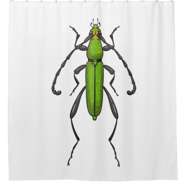 Cortina Para Box Green beetle (Frente)