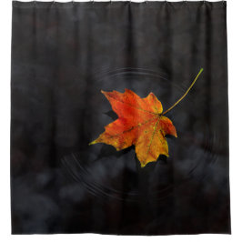 Cortina Para Box Haiku