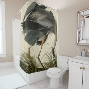 Cortina Para Box Herão Azul excelente das Aves da América de Audubo