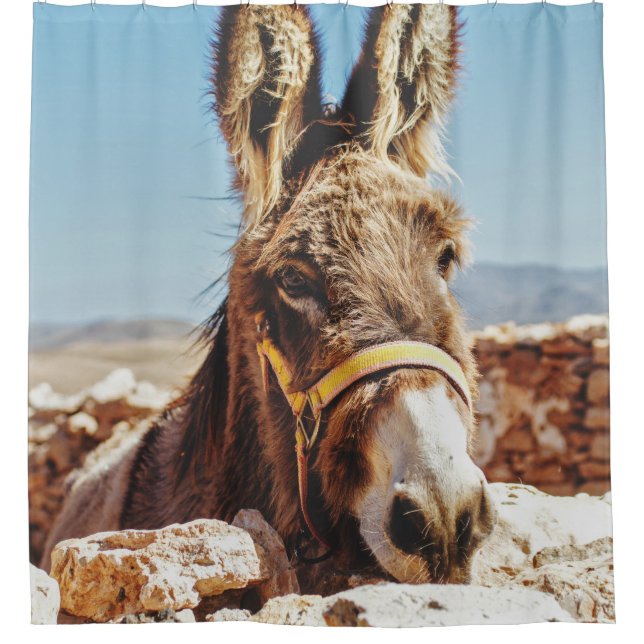 CORTINA PARA BOX HI DONKEY (Frente)